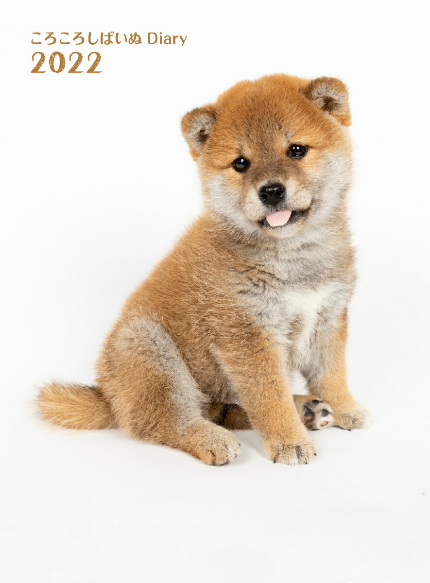 楽天ブックス ころころしばいぬdiary 22 小川晃代 本 楽天ブックス ころころしばいぬdiary 22 小川晃代 本